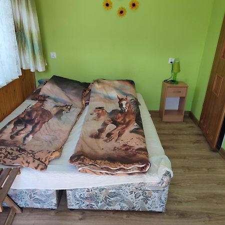 Iza-Pokoje Do Wynajecia Wisełka Esterno foto