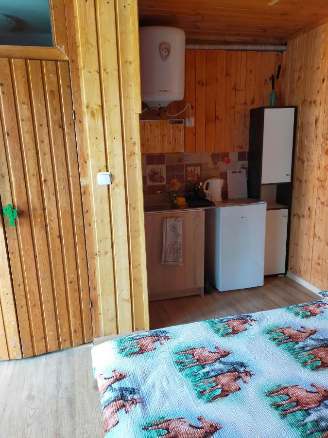 Iza-Pokoje Do Wynajecia Wisełka Esterno foto